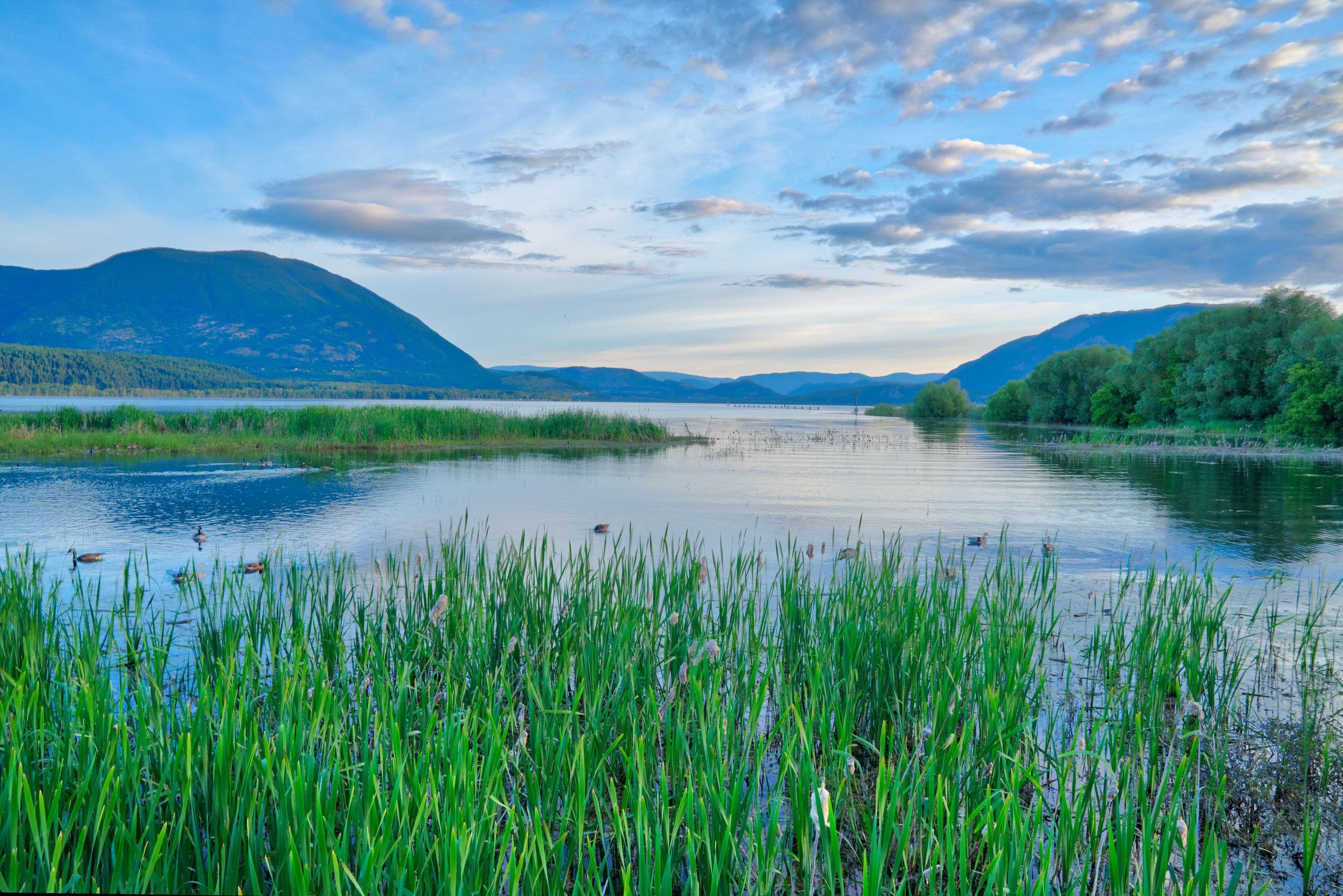 Prestige Harbourfront Resort, Worldhotels Luxury Salmon Arm Exterior photo